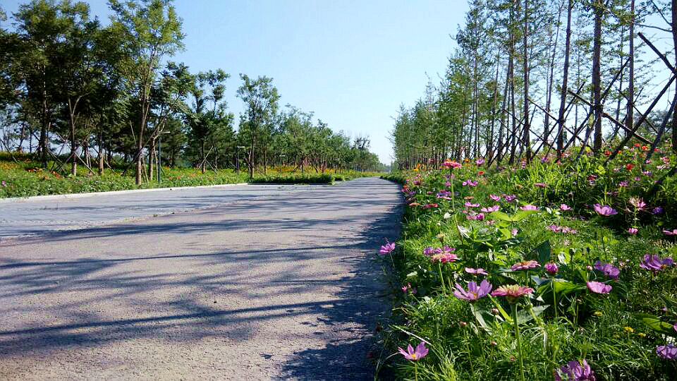 北京·環渤海高端總部基地北部城市濕地公園