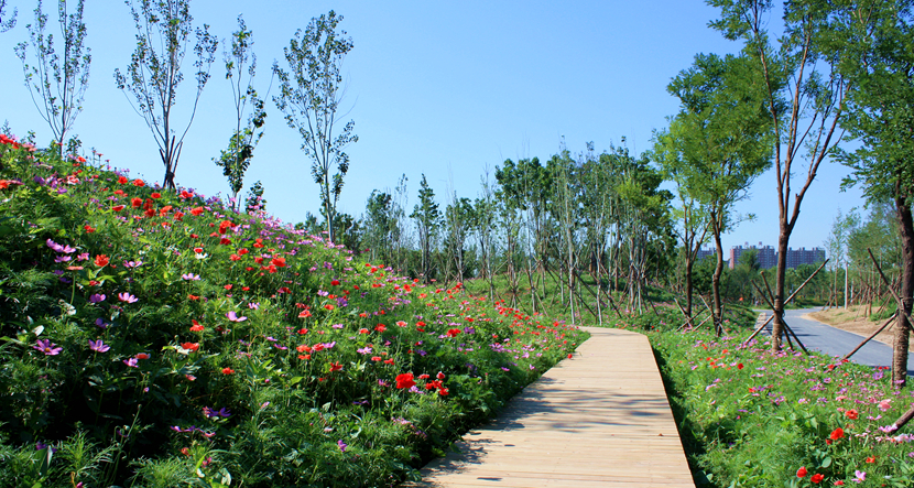 北京·環渤海高端總部基地北部城市濕地公園