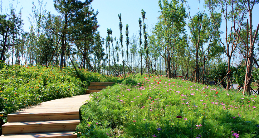 北京·環渤海高端總部基地北部城市濕地公園