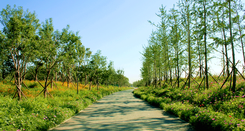 北京·環渤海高端總部基地北部城市濕地公園